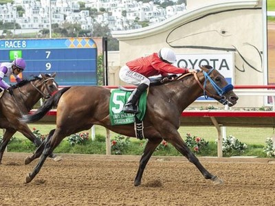 Preview: Breeders' Cup Sprint 2020 ( Horses, Racecard, 2019  ... Image 1